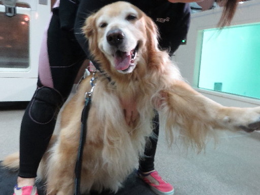 ファイル 4629-2.jpg