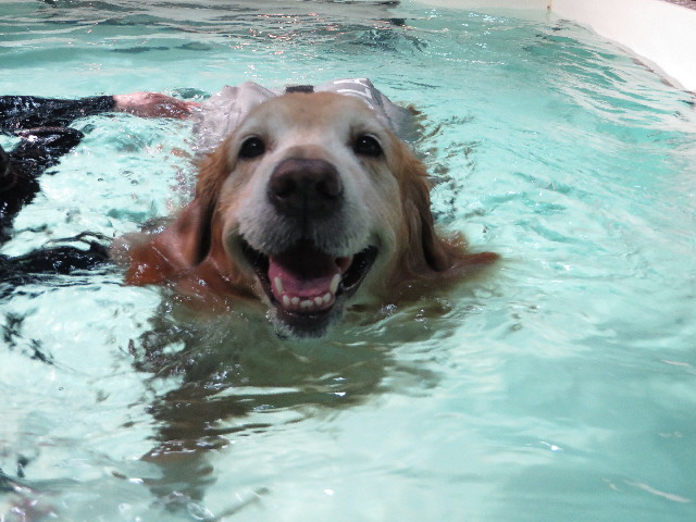 ファイル 4629-3.jpg