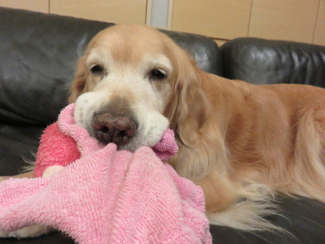 ファイル 4630-1.jpg