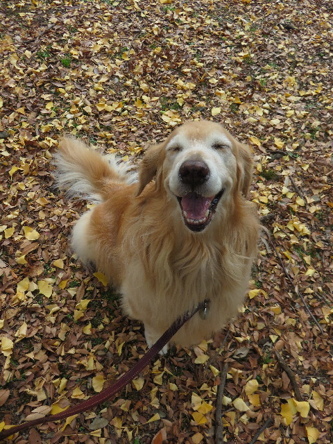 ファイル 4630-3.jpg