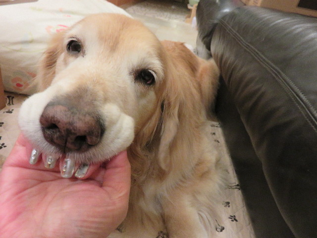 ファイル 4631-2.jpg