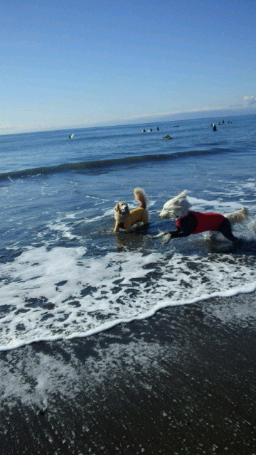 ファイル 4634-2.jpg