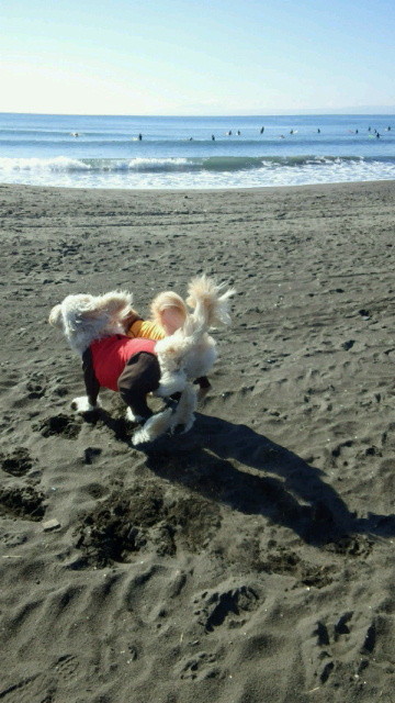 ファイル 4634-3.jpg