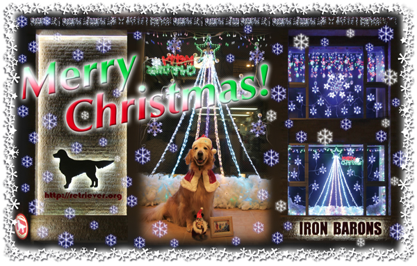 ファイル 4635-1.jpg