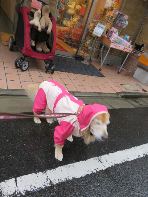 ファイル 4636-2.jpg