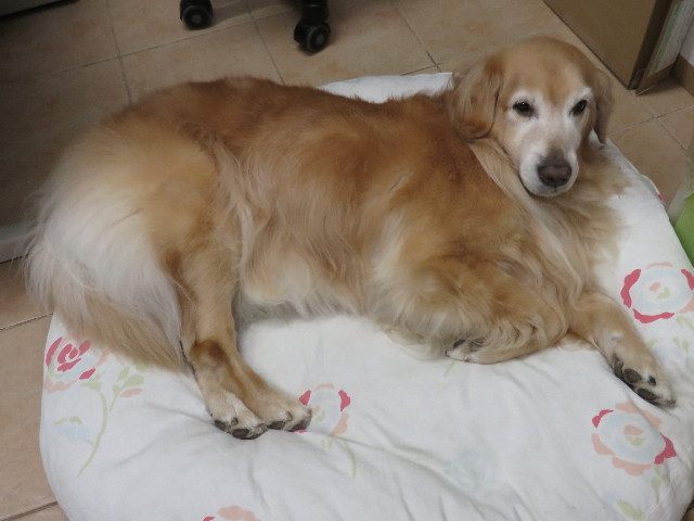 ファイル 4637-2.jpg