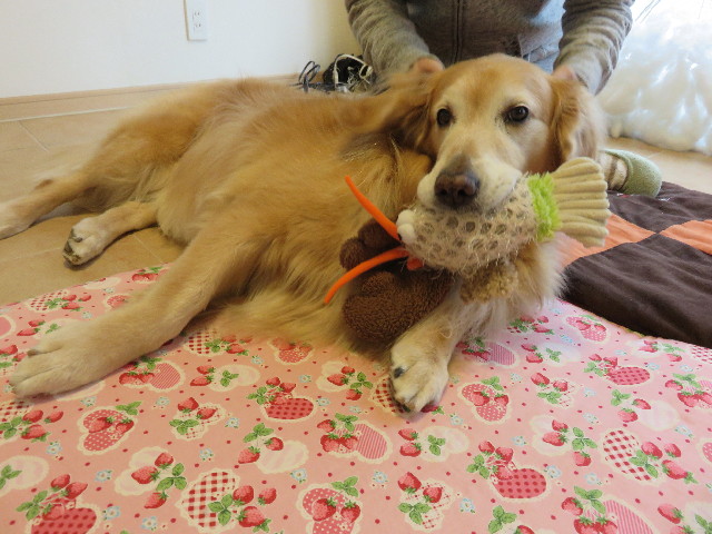 ファイル 4637-3.jpg