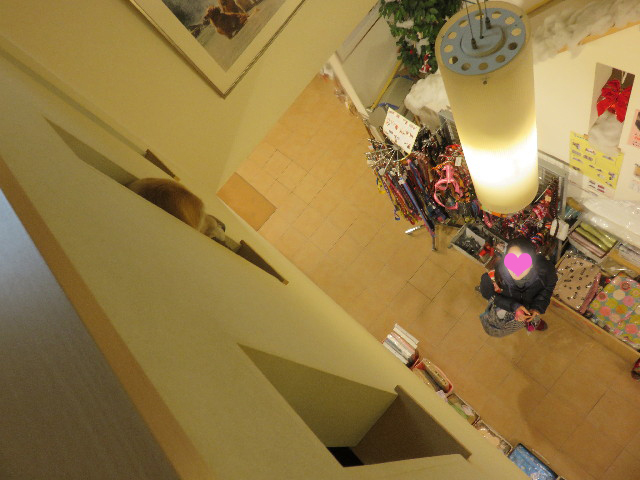 ファイル 4637-5.jpg