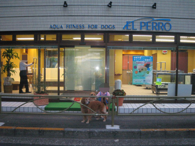 ファイル 464-1.jpg