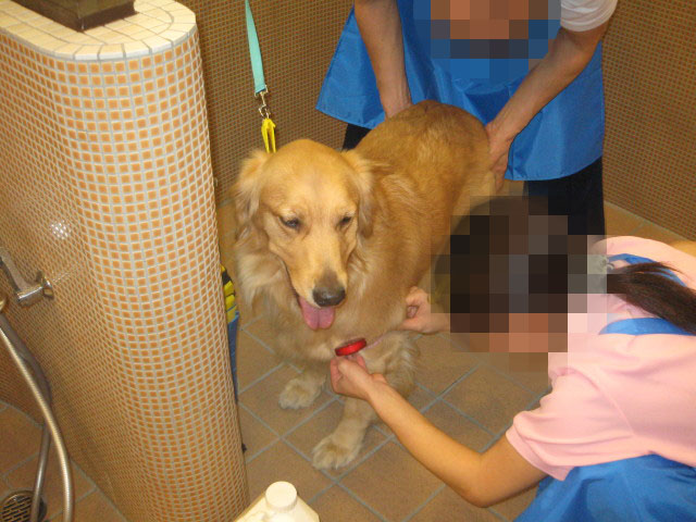 ファイル 464-2.jpg