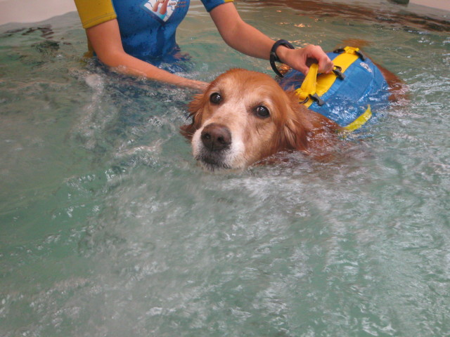 ファイル 464-3.jpg