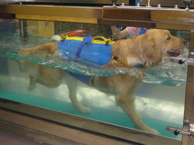 ファイル 464-4.jpg