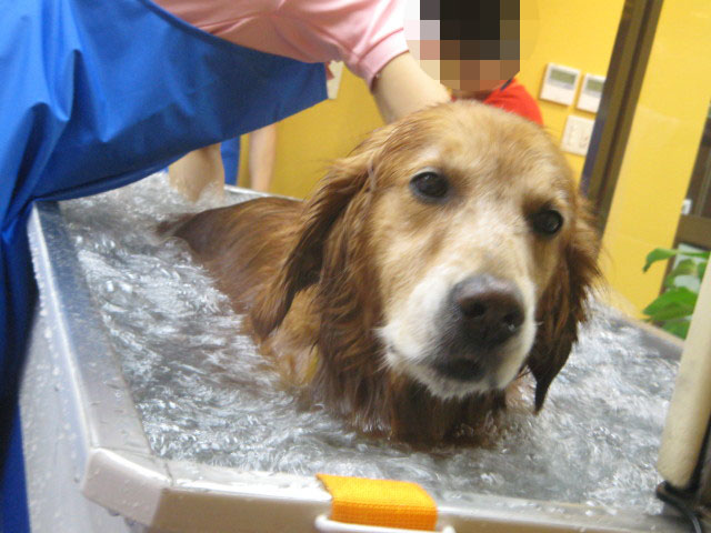 ファイル 464-5.jpg