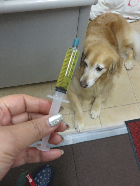 ファイル 4640-1.jpg