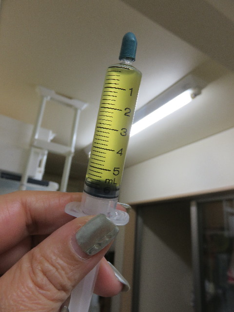 ファイル 4640-2.jpg