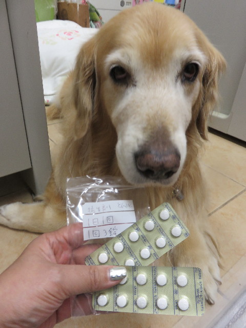 ファイル 4640-3.jpg