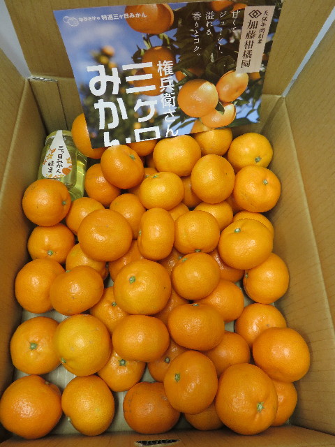 ファイル 4646-1.jpg