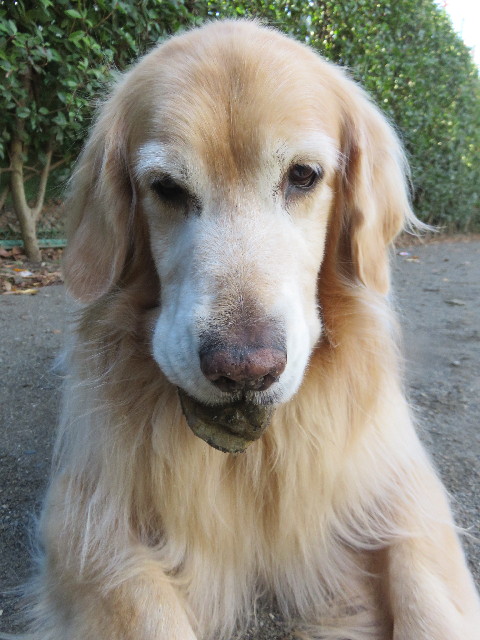 ファイル 4646-3.jpg