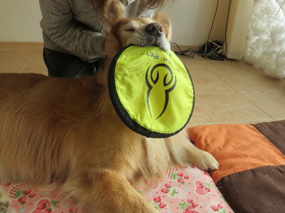 ファイル 4646-5.jpg