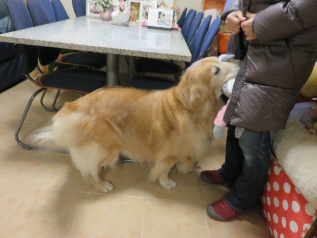 ファイル 4648-4.jpg