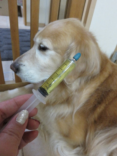 ファイル 4648-5.jpg