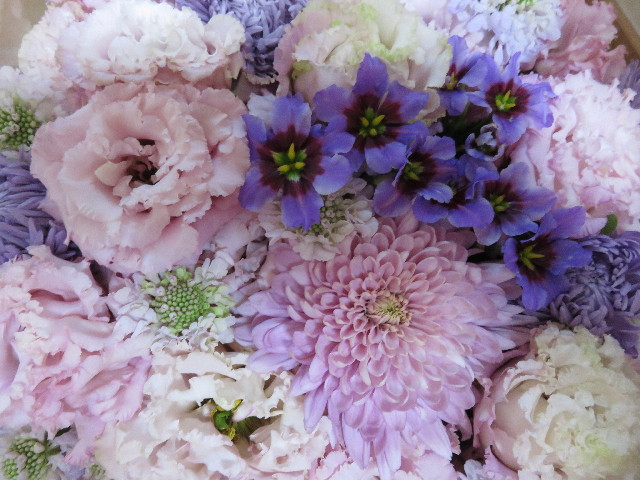 ファイル 4649-1.jpg