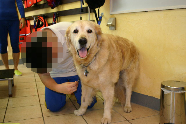 ファイル 465-1.jpg