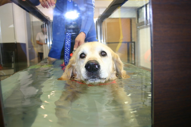 ファイル 465-2.jpg