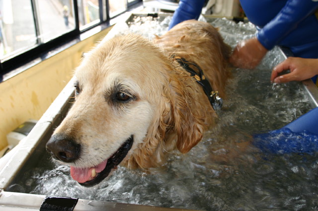 ファイル 465-4.jpg