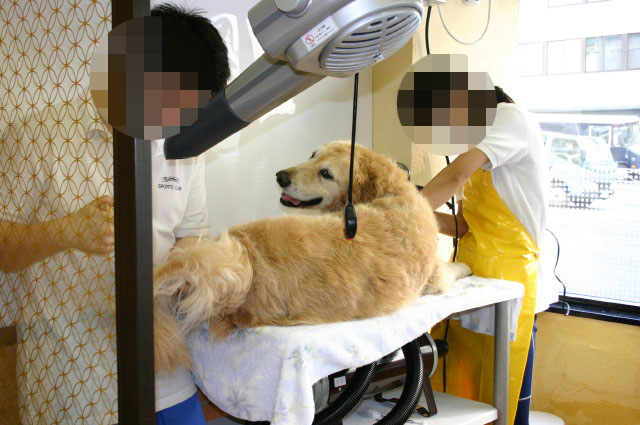 ファイル 465-5.jpg