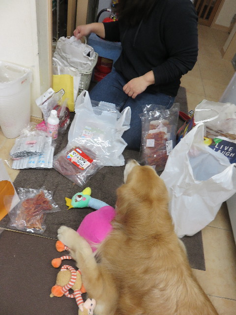 ファイル 4650-1.jpg