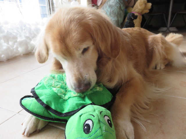 ファイル 4650-2.jpg