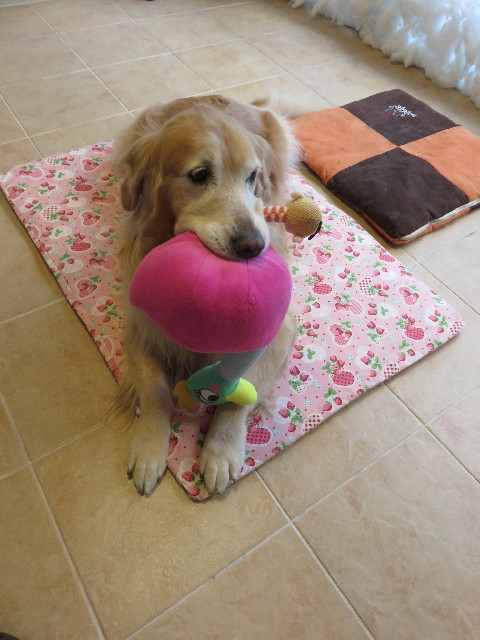 ファイル 4650-3.jpg