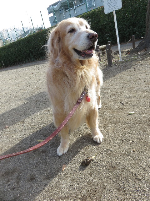 ファイル 4650-5.jpg