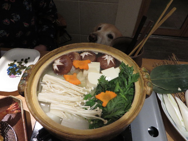 ファイル 4651-1.jpg