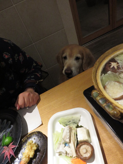 ファイル 4651-3.jpg