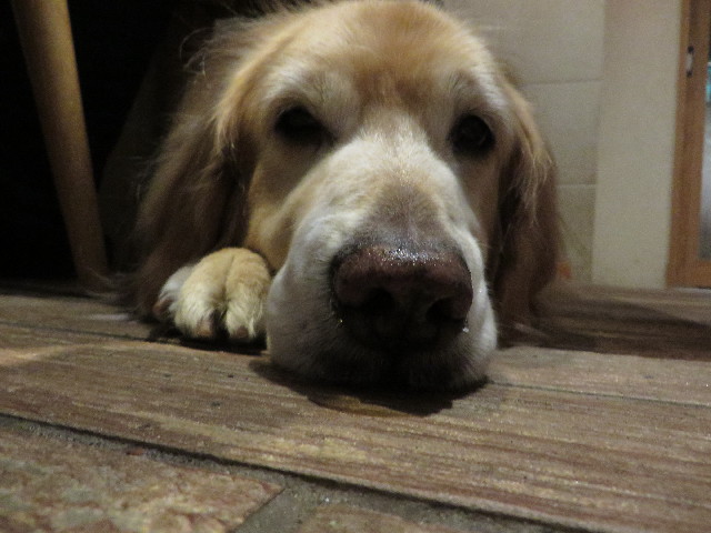 ファイル 4651-5.jpg