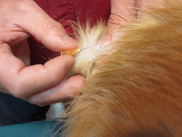 ファイル 4652-2.jpg