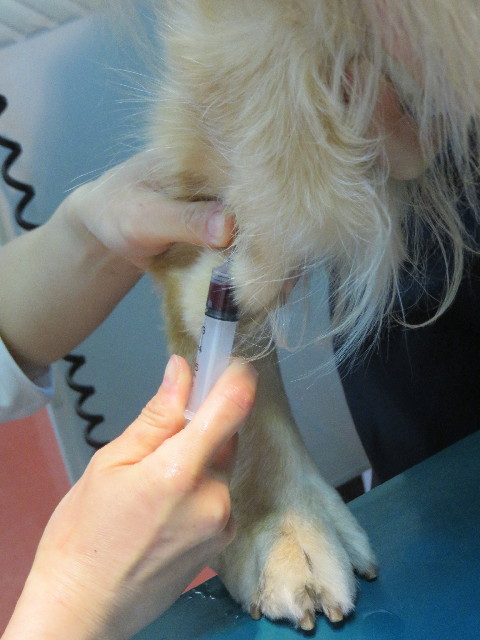 ファイル 4652-3.jpg