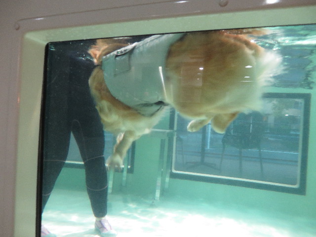 ファイル 4654-2.jpg