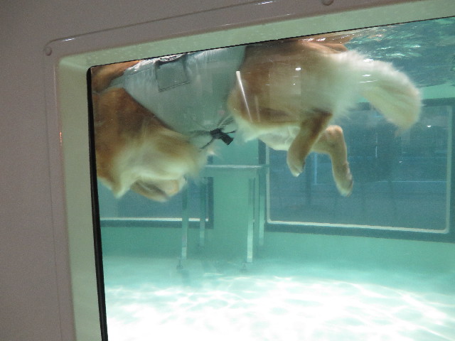 ファイル 4654-3.jpg