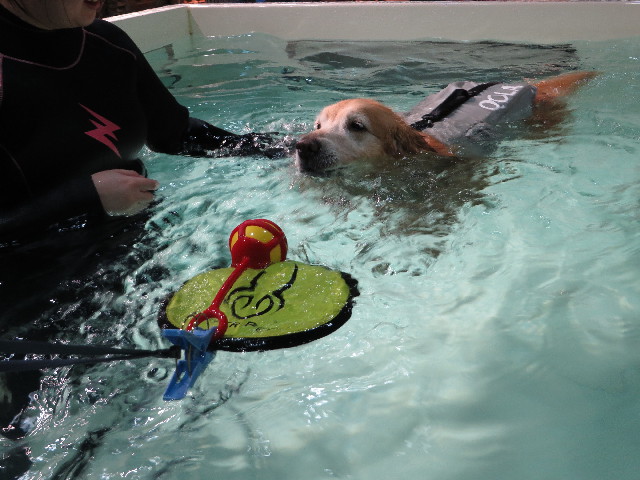 ファイル 4654-4.jpg