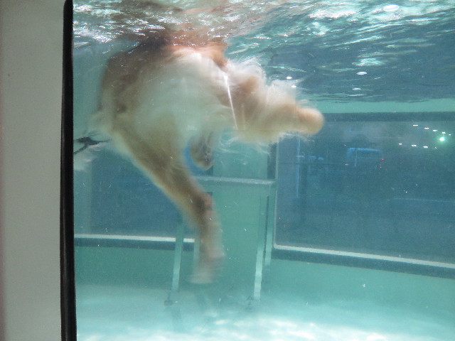 ファイル 4654-5.jpg