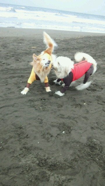 ファイル 4655-1.jpg