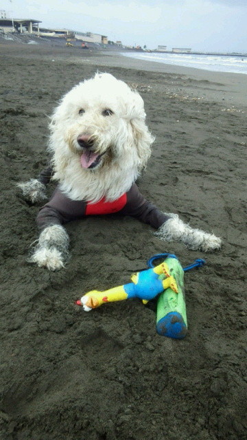 ファイル 4655-4.jpg