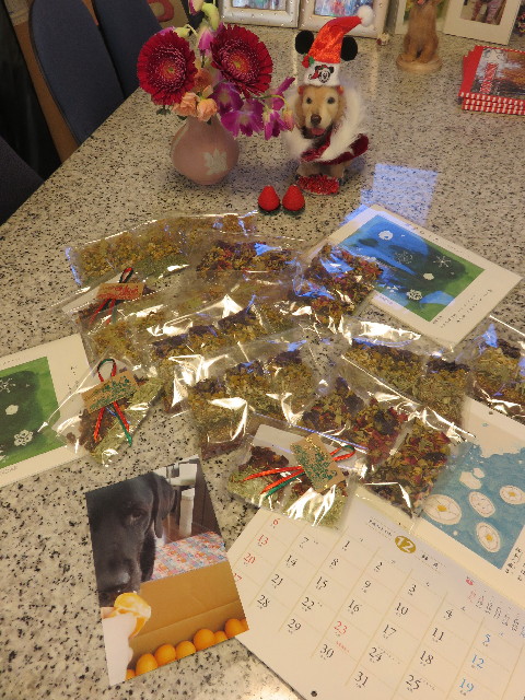 ファイル 4657-1.jpg