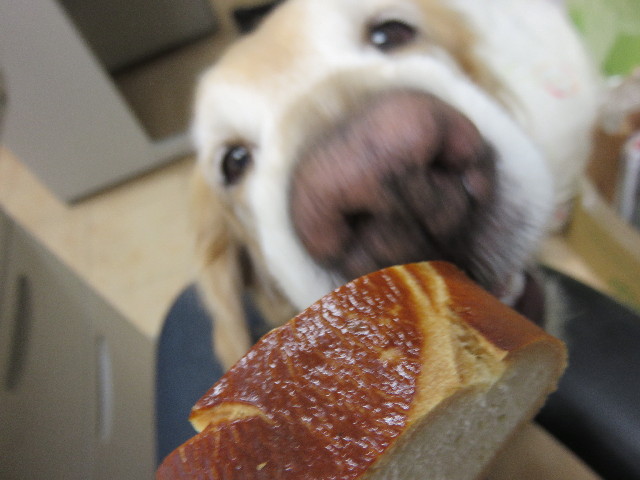 ファイル 4658-3.jpg