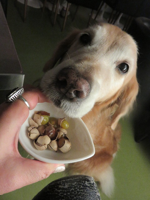 ファイル 4659-2.jpg