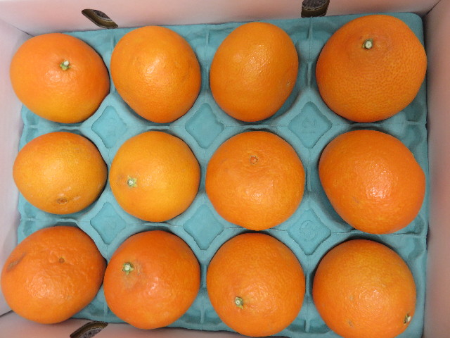 ファイル 4659-5.jpg