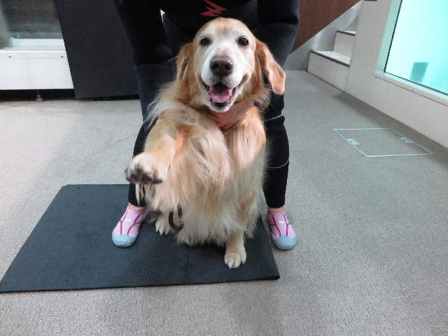 ファイル 4660-1.jpg